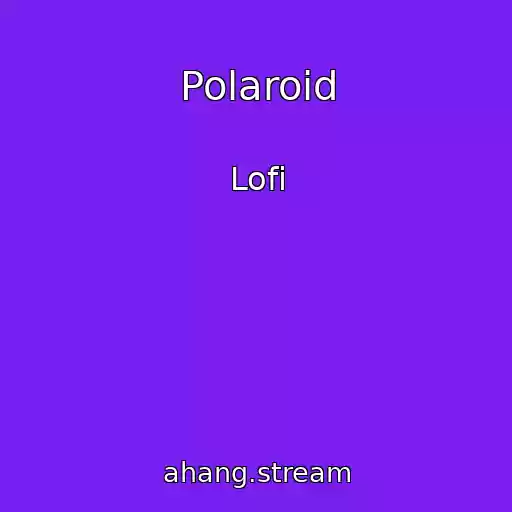 کاور آهنگ Polaroid از Lofi