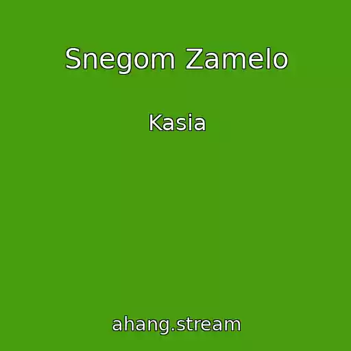 کاور آهنگ Snegom Zamelo از Kasia