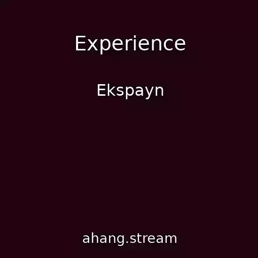 کاور آهنگ Experience از Ekspayn