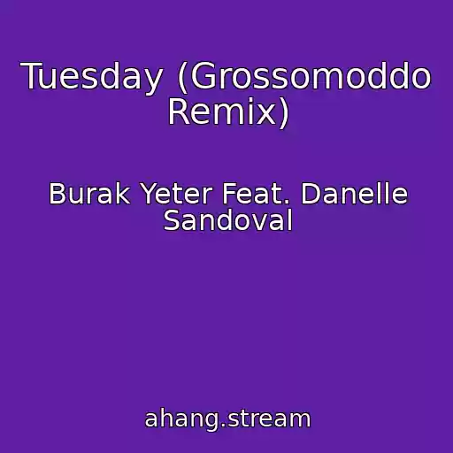 کاور آهنگ Tuesday (Grossomoddo Remix) از Burak Yeter Feat. Danelle Sandoval