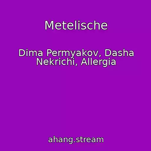 کاور آهنگ Metelische از Dima Permyakov, Dasha Nekrichi, Allergia