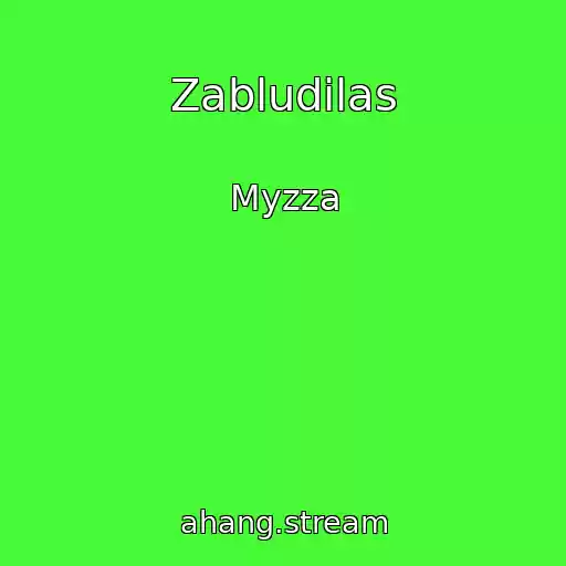 کاور آهنگ Zabludilas از Myzza
