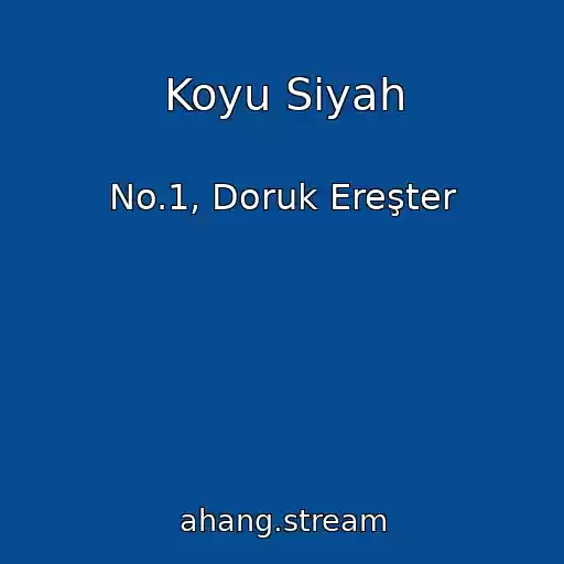 کاور آهنگ Koyu Siyah از No.1, Doruk Ereşter