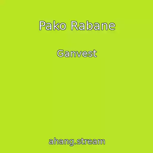 کاور آهنگ Pako Rabane از Ganvest