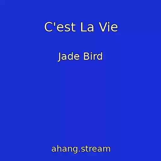 کاور آهنگ C'est La Vie از Jade Bird