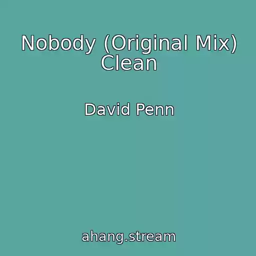 کاور آهنگ Nobody (Original Mix) Clean از David Penn