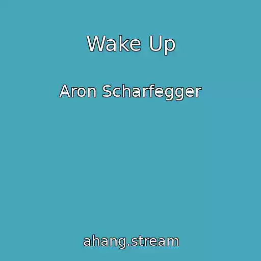 کاور آهنگ Wake Up از Aron Scharfegger