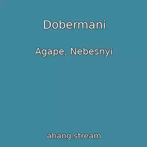 کاور آهنگ Dobermani از Agape, Nebesnyi
