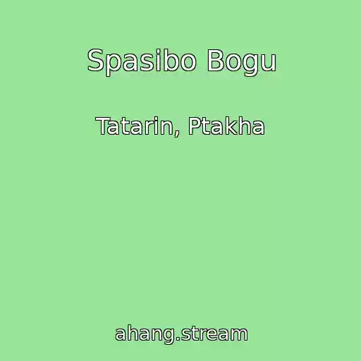 کاور آهنگ Spasibo Bogu از Tatarin, Ptakha