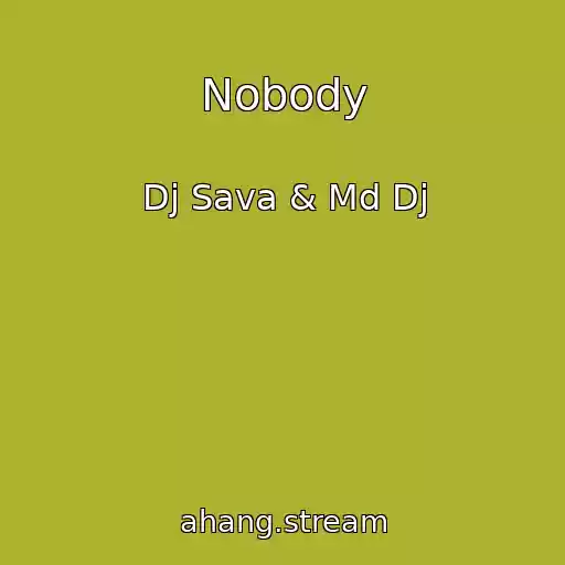 کاور آهنگ Nobody از Dj Sava & Md Dj