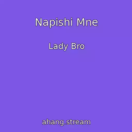 کاور آهنگ Napishi Mne از Lady Bro