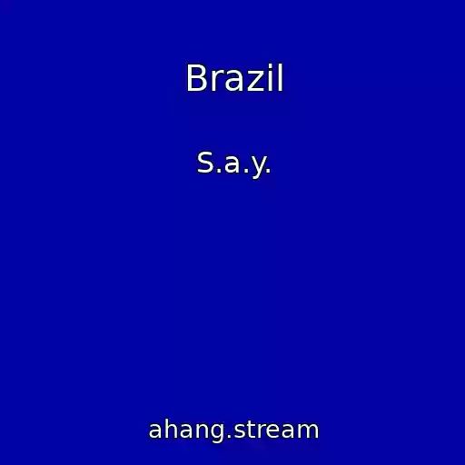 کاور آهنگ Brazil از S.a.y.