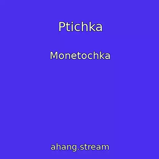 کاور آهنگ Ptichka از Monetochka