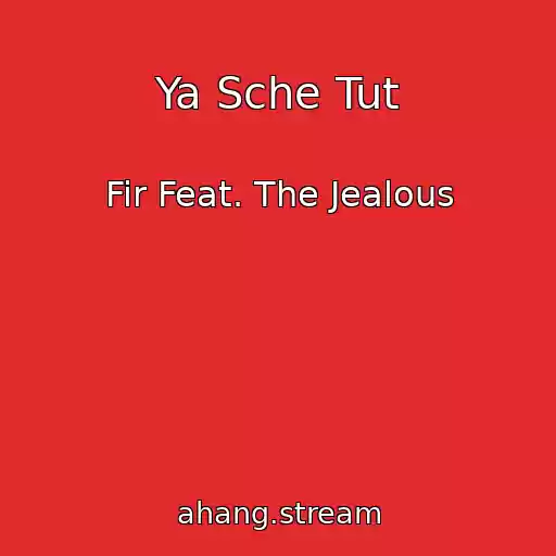 کاور آهنگ Ya Sche Tut از Fir Feat. The Jealous