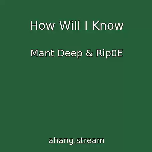 کاور آهنگ How Will I Know از Mant Deep & Rip0E