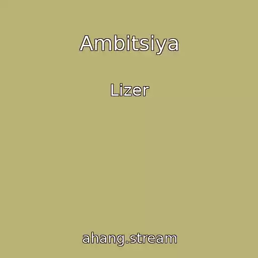 کاور آهنگ Ambitsiya از Lizer