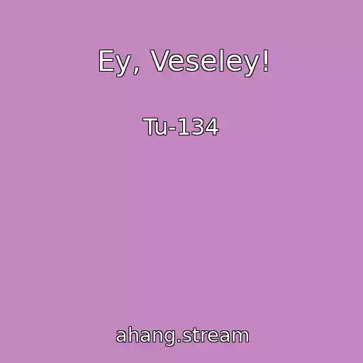 کاور آهنگ Ey, Veseley! از Tu-134