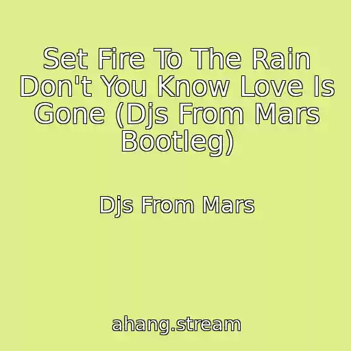 کاور آهنگ Set Fire To The Rain Don't You Know Love Is Gone (Djs From Mars Bootleg) از Djs From Mars