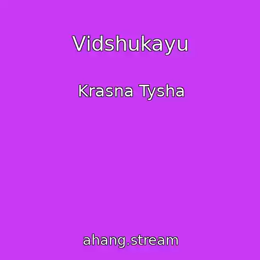 کاور آهنگ Vіdshukayu از Krasna Tysha