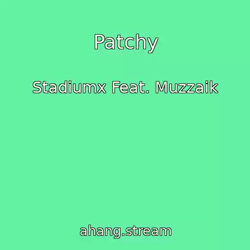 کاور آهنگ Patchy از Stadiumx Feat. Muzzaik