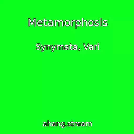 کاور آهنگ Metamorphosis از Synymata, Vari