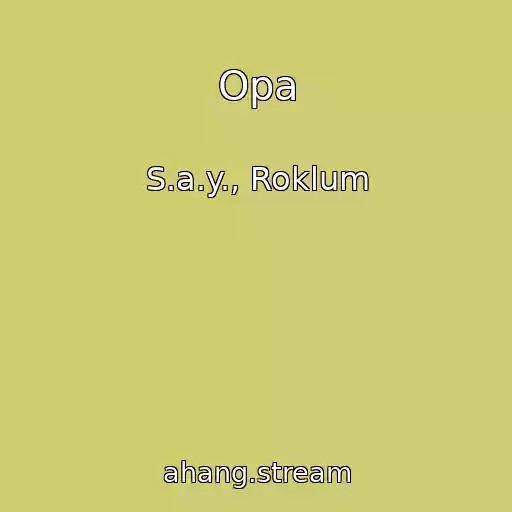 کاور آهنگ Opa از S.a.y., Roklum