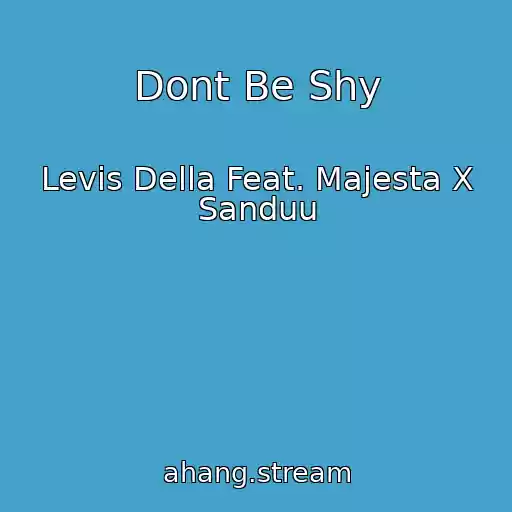 کاور آهنگ Dont Be Shy از Levis Della Feat. Majesta X Sanduu