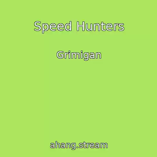 کاور آهنگ Speed Hunters از Grimigan