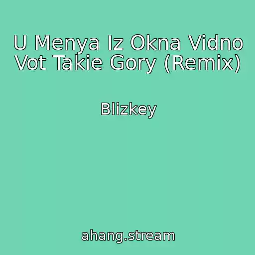 کاور آهنگ U Menya Iz Okna Vidno Vot Takie Gory (Remix) از Blizkey