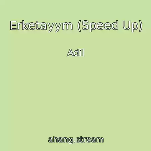 کاور آهنگ Erketayym (Speed Up) از Adil