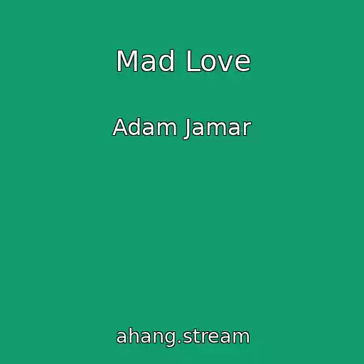 کاور آهنگ Mad Love از Adam Jamar