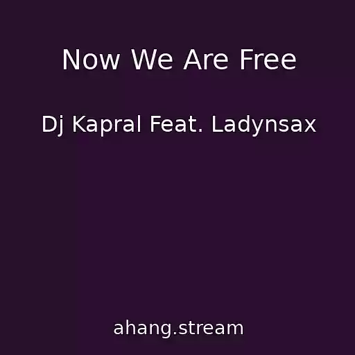 کاور آهنگ Now We Are Free از Dj Kapral Feat. Ladynsax