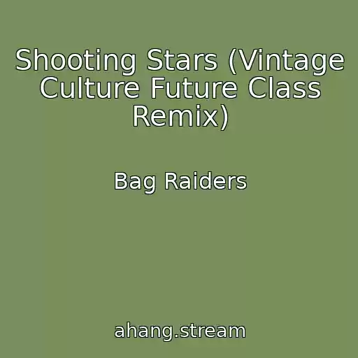 کاور آهنگ Shooting Stars (Vintage Culture Future Class Remix) از Bag Raiders