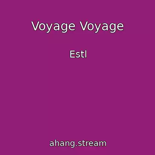 کاور آهنگ Voyage Voyage از Estl