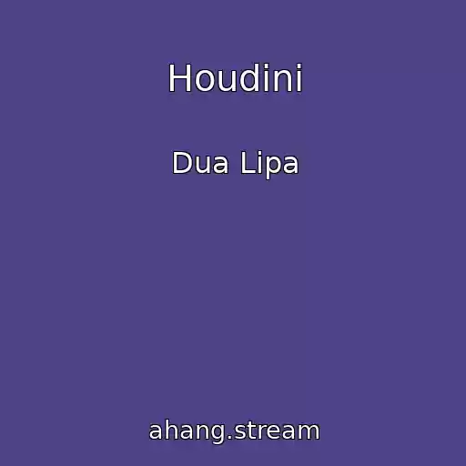 کاور آهنگ Houdini از Dua Lipa