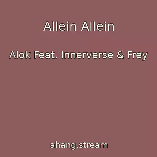 کاور آهنگ Allein Allein از Alok Feat. Innerverse & Frey