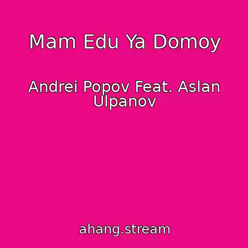 کاور آهنگ Mam Edu Ya Domoy از Andrei Popov Feat. Aslan Ulpanov