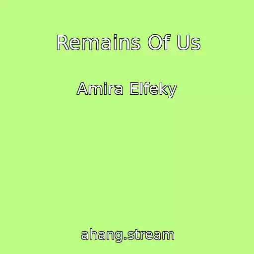 کاور آهنگ Remains Of Us از Amira Elfeky