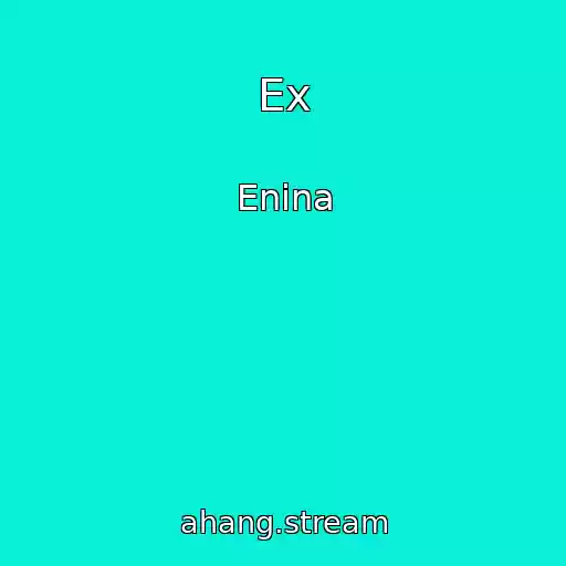 کاور آهنگ Ex از Enina