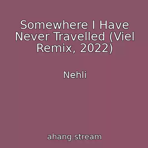 کاور آهنگ Somewhere I Have Never Travelled (Viel Remix, 2022) از Nehli