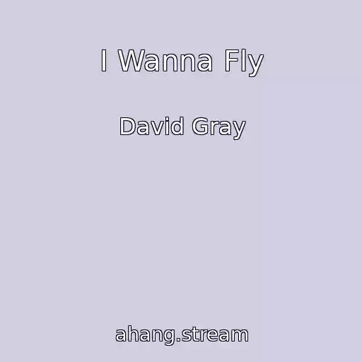 کاور آهنگ I Wanna Fly از David Gray