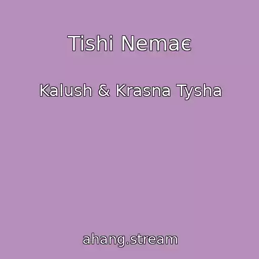 کاور آهنگ Tishі Nemaє از Kalush & Krasna Tysha