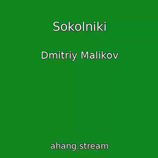 کاور آهنگ Sokolniki از Dmitriy Malikov