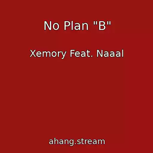کاور آهنگ No Plan "B" از Xemory Feat. Naaal