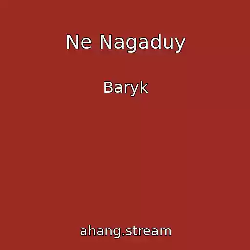 کاور آهنگ Ne Nagaduy از Baryk
