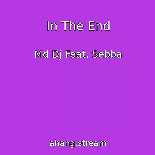 کاور آهنگ In The End از Md Dj Feat. Sebba