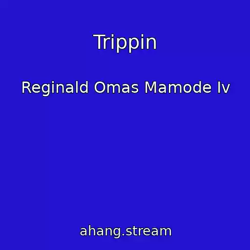 کاور آهنگ Trippin از Reginald Omas Mamode Iv