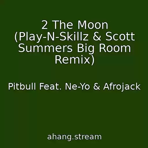 کاور آهنگ 2 The Moon (Play-N-Skillz & Scott Summers Big Room Remix) از Pitbull Feat. Ne-Yo & Afrojack