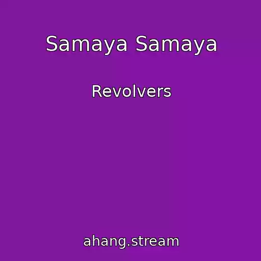 کاور آهنگ Samaya Samaya از Revolvers