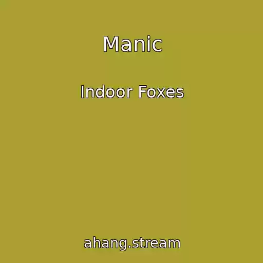 کاور آهنگ Manic از Indoor Foxes